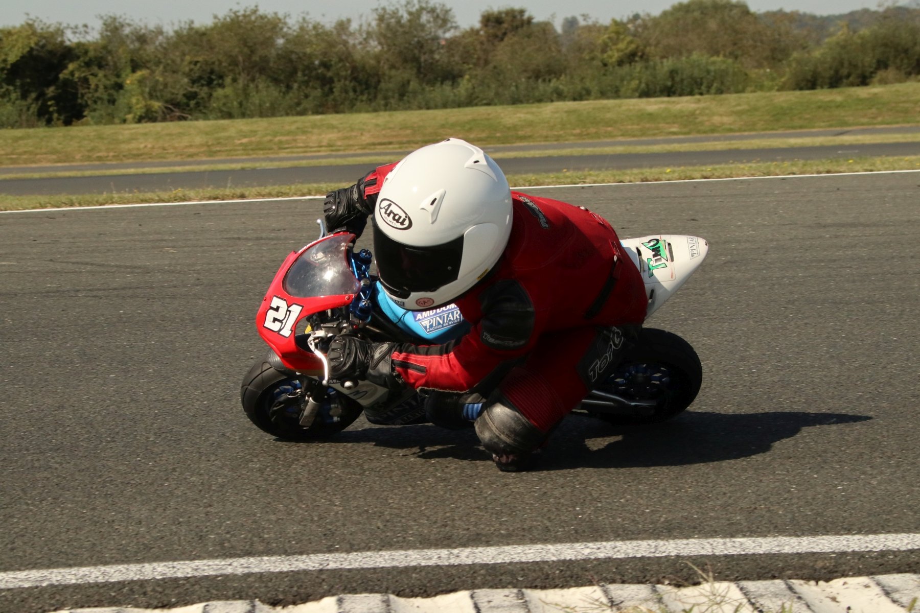 AMD Domžale Enej Logar Brno 01