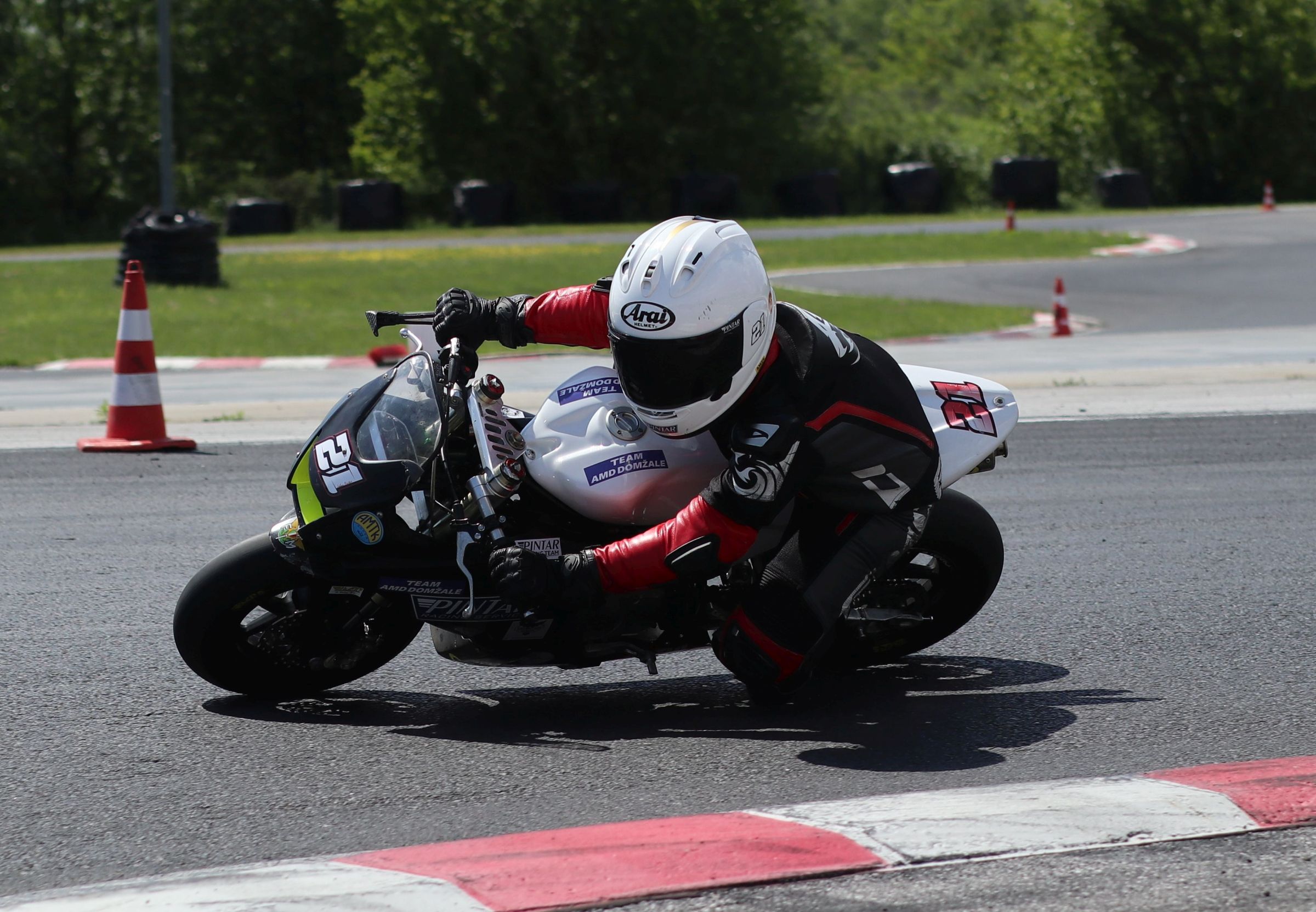 Johan Pintar, AMD Domžale